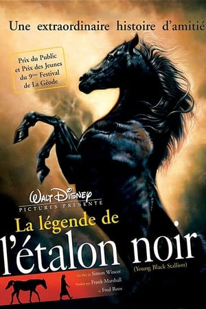 Regarder La légende de l'étalon noir en streaming complet
