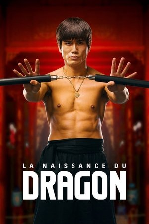 Regarder La Naissance du Dragon en streaming complet