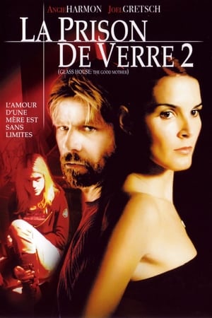 Regarder La Prison de verre 2 en streaming complet