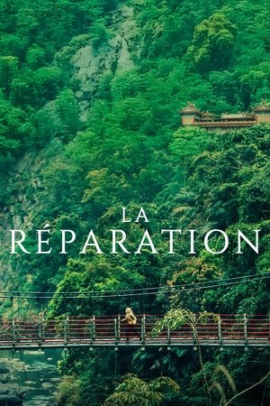Regarder La Réparation en streaming complet