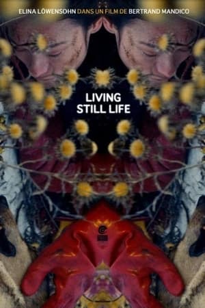 Regarder La résurrection des natures mortes (Living Still Life) en streaming complet