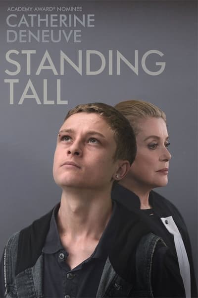 Regarder La Tête haute en streaming complet