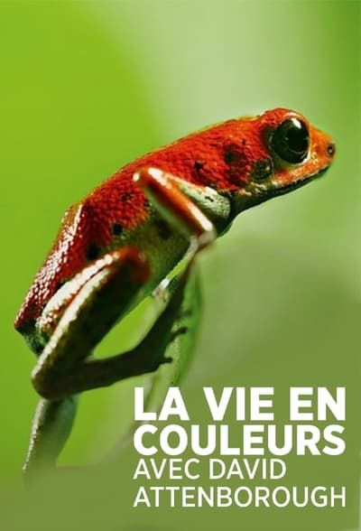 Regarder La Vie En Couleur avec David Attenborough - Saison 1 en streaming complet