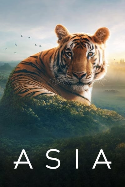 Regarder L'Asie - Saison 1 en streaming complet