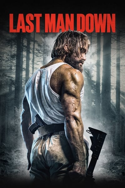 Regarder Last Man Down en streaming complet