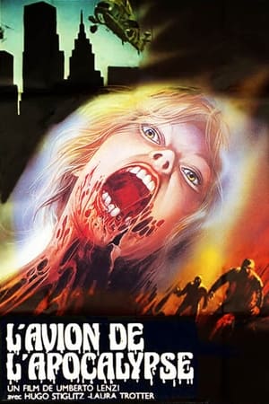 Regarder L'Avion de l'apocalypse en streaming complet