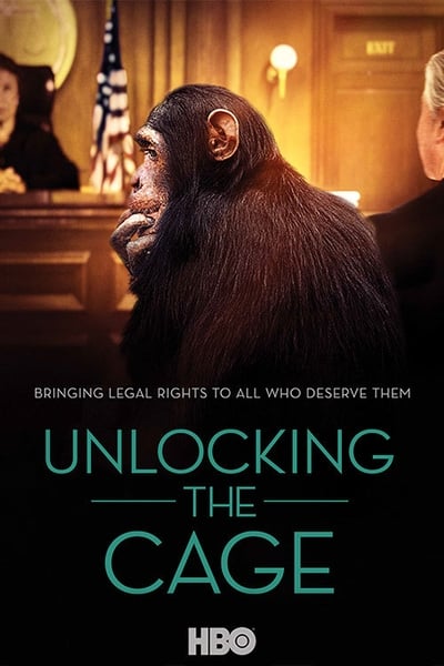 Regarder L'Avocat Des Chimpanzés en streaming complet