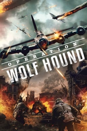 Regarder Opération Wolf Hound en streaming complet