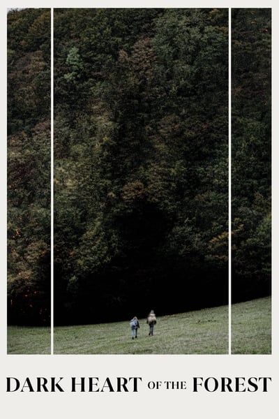 Regarder Le Cœur Noir des Forêts en streaming complet