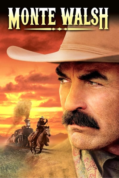 Regarder Le Dernier Cow-boy en streaming complet