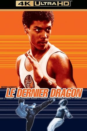 Regarder Le Dernier Dragon en streaming complet