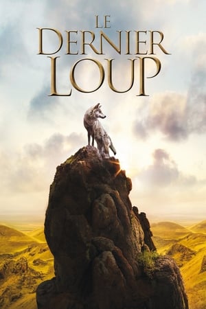 Regarder Le dernier loup en streaming complet