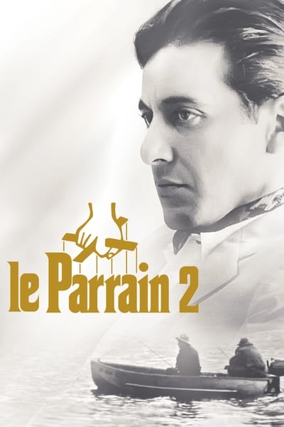 Regarder Le Parrain, 2e partie en streaming complet