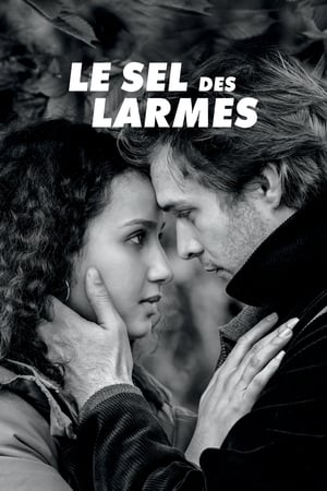 Regarder Le Sel des larmes en streaming complet