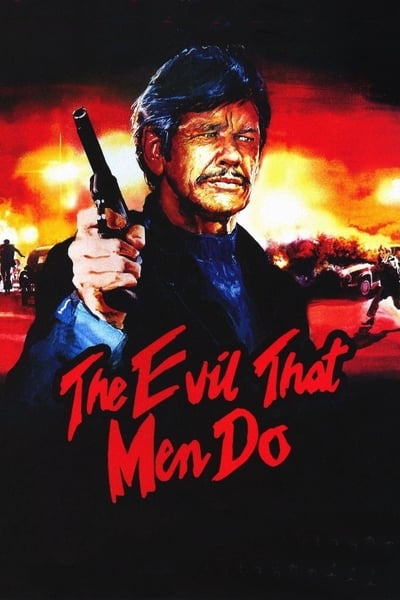 Regarder L'enfer de la violence en streaming complet