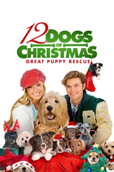 Regarder Les 12 chiens de noël 2 en streaming complet