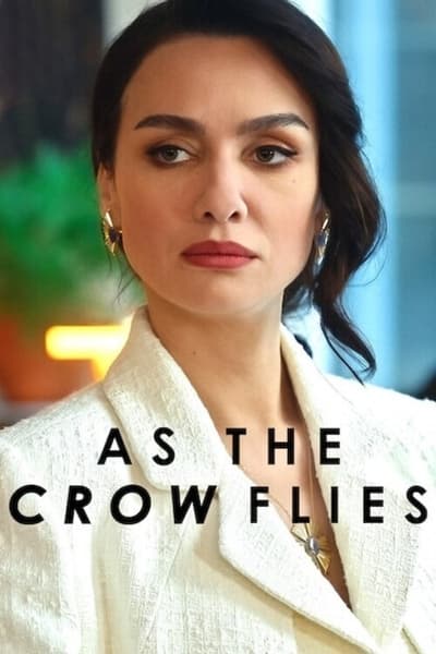 Regarder Les Ailes de l’Ambition - Saison 3 en streaming complet