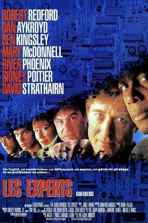 Regarder Les Experts en streaming complet