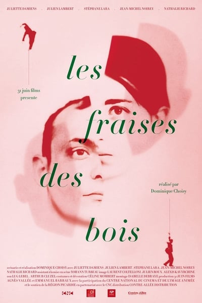 Regarder Les fraises des bois en streaming complet