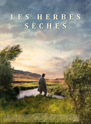 Regarder Les Herbes sèches en streaming complet