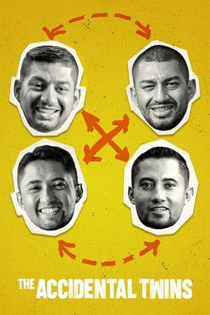 Regarder Les Jumeaux échangés de Bogota en streaming complet