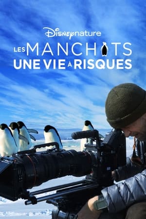 Regarder Les Manchots, une vie à risques en streaming complet