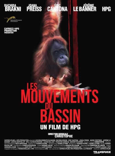 Regarder Les Mouvements du bassin en streaming complet