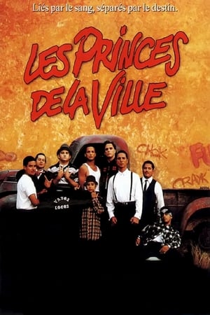 Regarder Les Princes de la ville en streaming complet