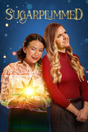 Regarder Les règles d'or d'un Noël parfait en streaming complet