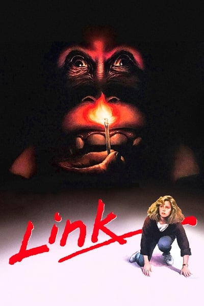 Regarder Link en streaming complet