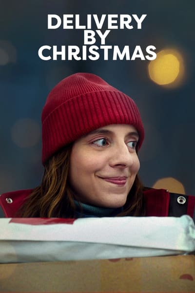 Regarder Livré avant Noël en streaming complet
