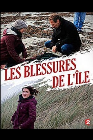 Regarder Les Blessures de l'île en streaming complet