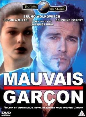 Regarder Mauvais garçon en streaming complet