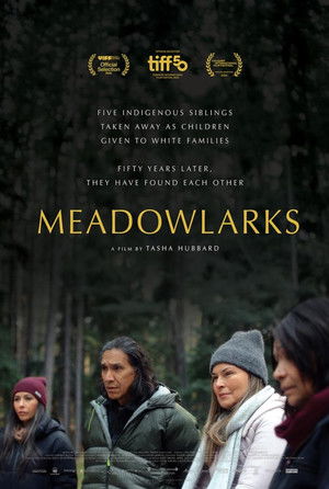 Regarder Meadowlarks en streaming complet