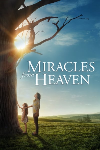 Regarder Miracles du ciel en streaming complet