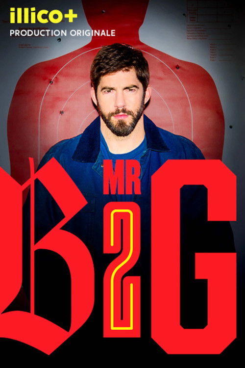 Regarder Mr Big - Saison 2 en streaming complet