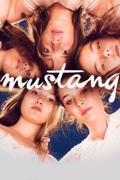Regarder Mustang en streaming complet