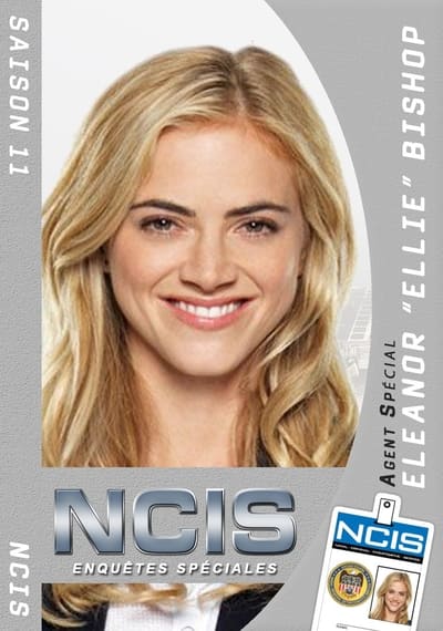 Regarder NCIS : Enquêtes spéciales - Saison 11 en streaming complet