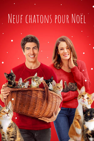 Regarder Neuf chatons pour Noël en streaming complet