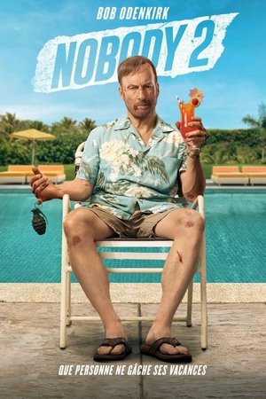 Regarder Nobody 2 en streaming complet
