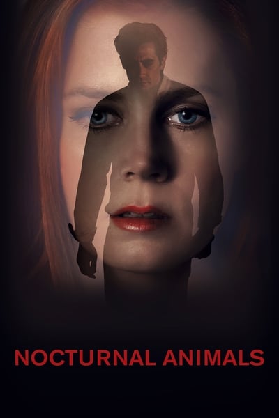 Regarder Nocturnal Animals en streaming complet