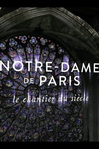 Regarder Notre-Dame de Paris, Le Chantier Du Siècle - Saison 1 en streaming complet