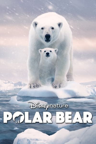 Regarder Ours polaire en streaming complet