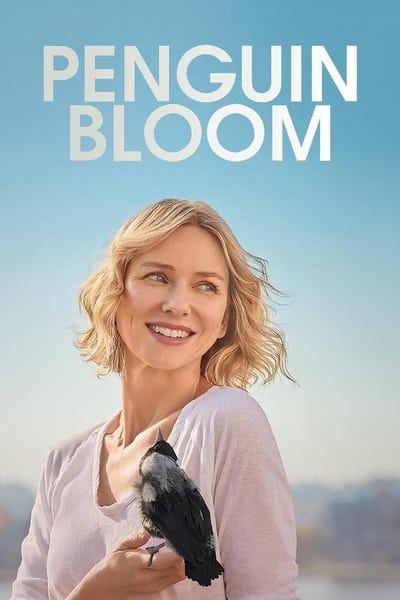 Regarder Penguin Bloom en streaming complet