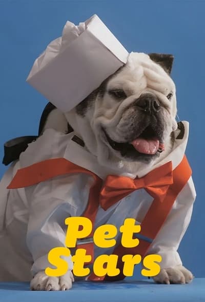 Regarder Pet Stars - Saison 1 en streaming complet