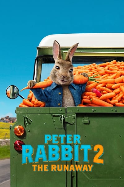 Regarder Pierre Lapin 2 : Panique en ville en streaming complet