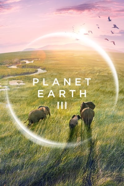 Regarder Planète Terre III - Saison 1 en streaming complet