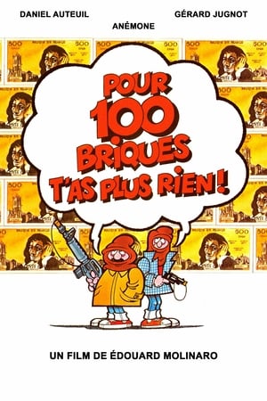 Regarder Pour 100 briques t'as plus rien ! en streaming complet