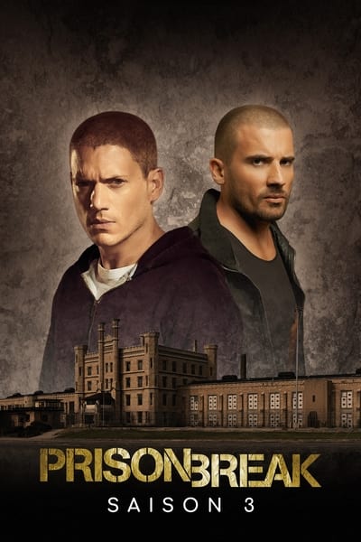 Regarder Prison Break - Saison 3 en streaming complet