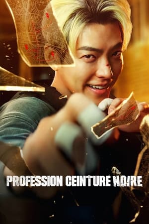 Regarder Profession ceinture noire en streaming complet
